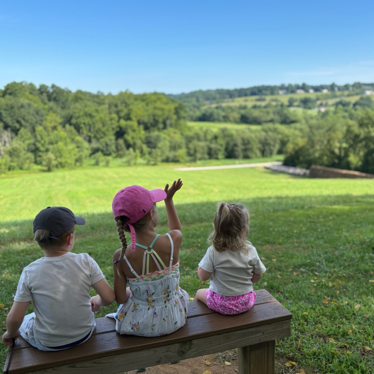 Summer 2025: A beautiful&nbsp;blur